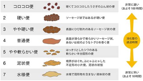 雲古死|排泄物の「うんこ」ですが、昔の古い漢字で「雲古」と書くと最。